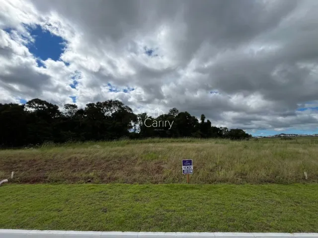 Terreno, foto 3
