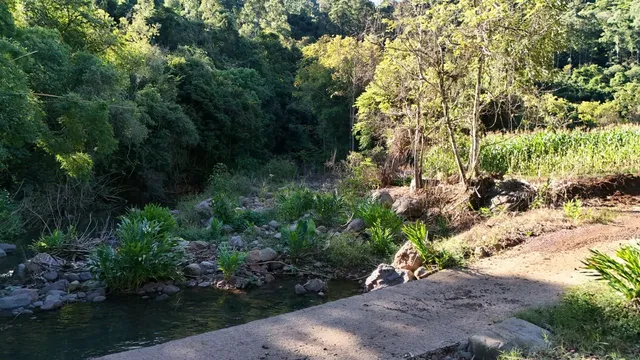 Área rural, foto 4