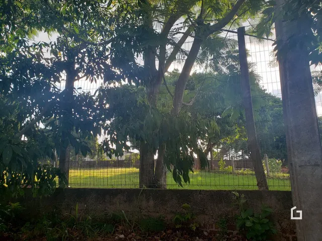 Vista externa de uma propriedade com cerca e vegetação.