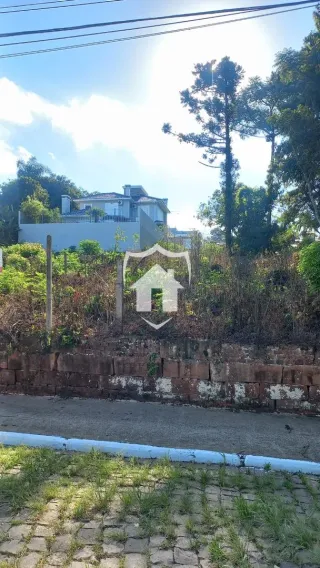 Terreno, foto 2