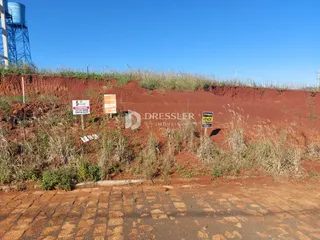 Foto da terra vermelha com vegetação seca e uma estrada no primeiro plano.