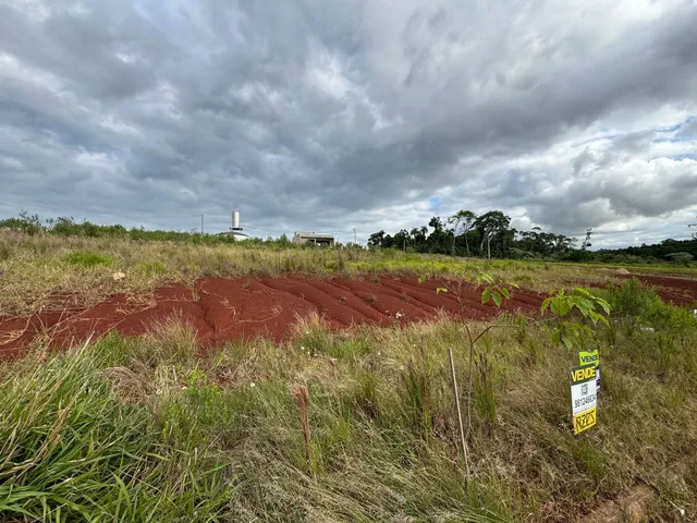 Uma paisagem de campo com vegetação seca e terra vermelha sob um céu nublado.