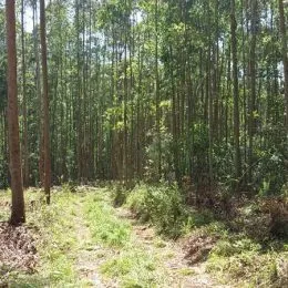 Área rural, foto 5