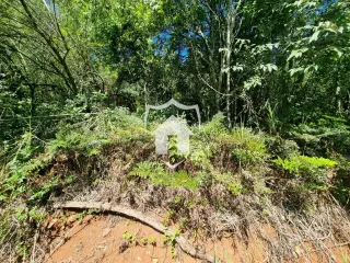 Área rural, foto 7