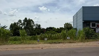 Terreno, foto 2