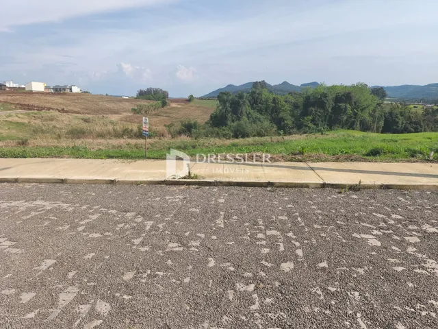 Paisagem rural com campo e vegetação ao fundo.
