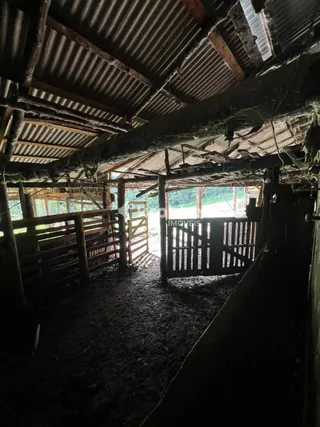 Terreno, foto 10