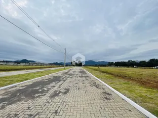 Vista aérea de uma estrada rural com vegetação ao redor.