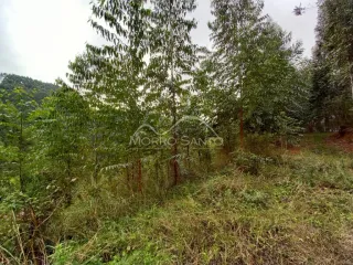 Área rural, foto 8
