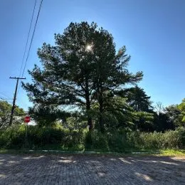 Terreno, foto 9