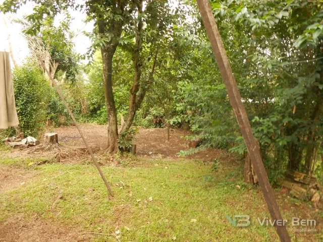 Terreno, foto 3