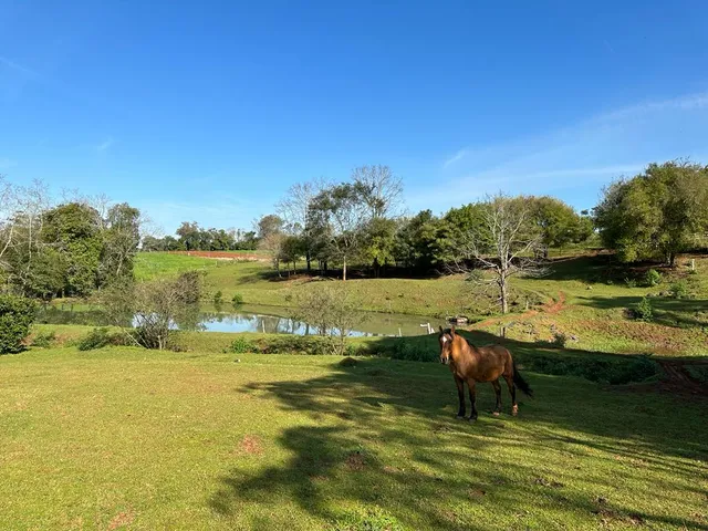 Uma paisagem de campo gramado com árvores ao fundo é visível na propriedade.