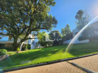 Terreno, foto 10
