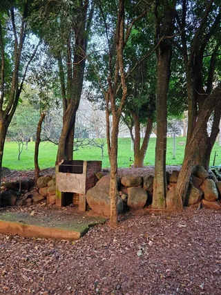 Área rural com 2 dormitórios, foto 8