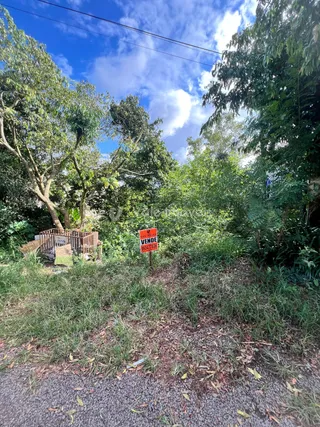 Terreno, foto 2