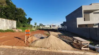 Terreno, foto 3