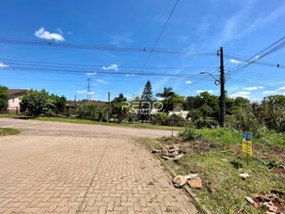 Vista da rua e vegetação ao redor da propriedade em Lajeado.