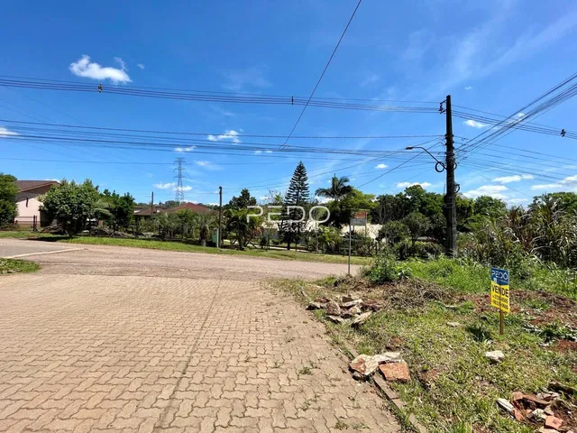 Vista da rua e vegetação ao redor da propriedade em Lajeado.