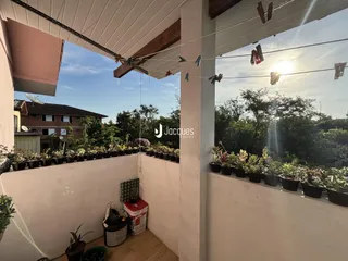 Vista de uma varanda com vasos de plantas em Lajeado, Brasil.