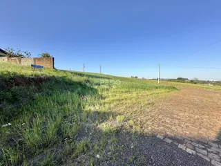 Paisagem de campo gramado com estrada de terra em Lajeado.