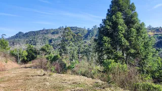 Vista panorâmica de uma paisagem de colinas e vegetação densa em Lajeado.