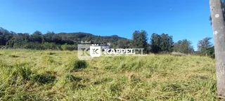 Vista de um campo aberto com vegetação seca e árvores ao fundo.