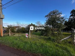 Vista externa de um terreno com grama alta e uma estrada de terra.