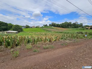 Terreno, foto 3