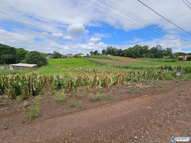 Terreno, foto 3