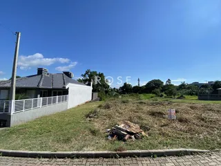 Terreno, foto 2