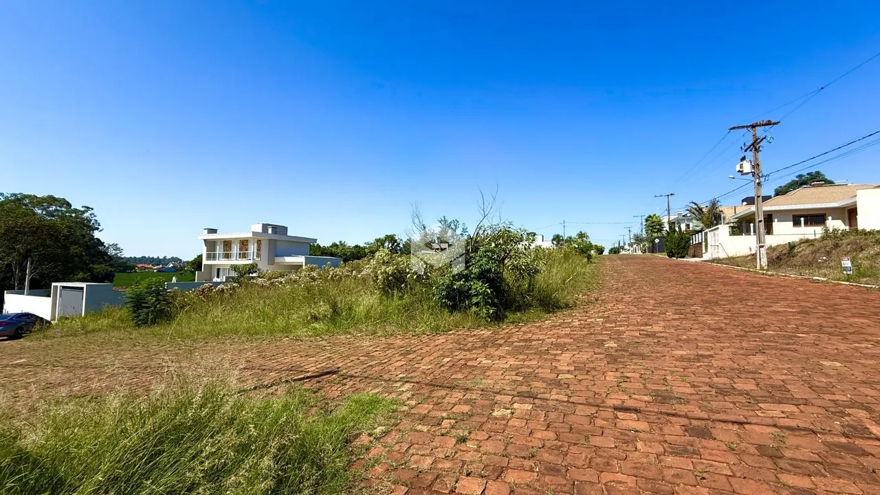 Vista externa de uma residência com vegetação no primeiro plano.
