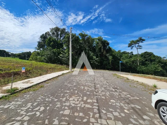 Terreno, foto 2