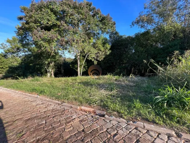 Terreno, foto 4