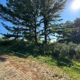 Terreno, foto 7