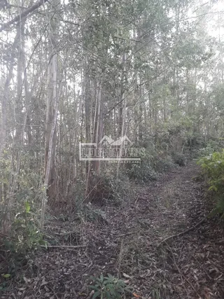 Área rural, foto 3