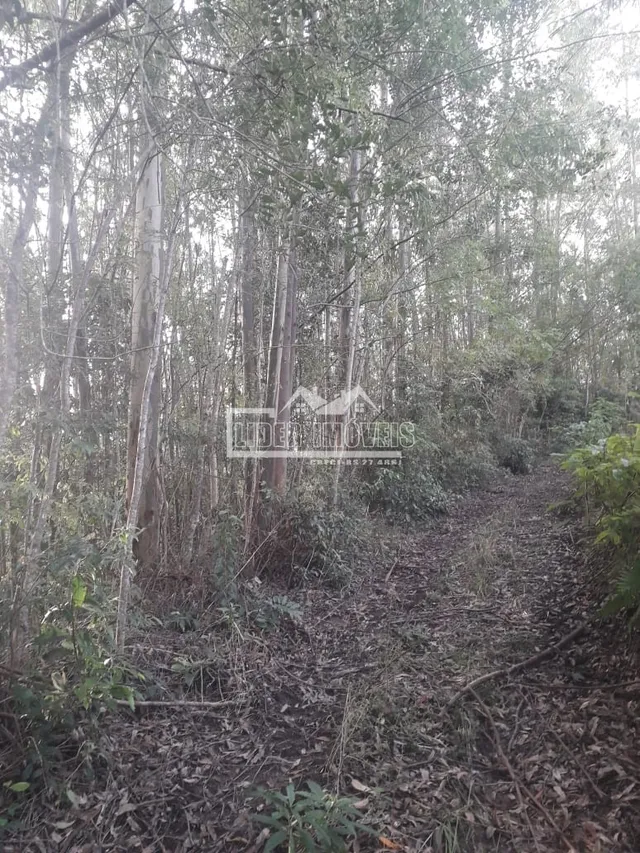 Área rural, foto 3