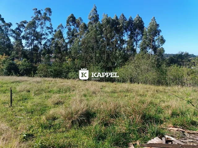 Terreno, foto 5