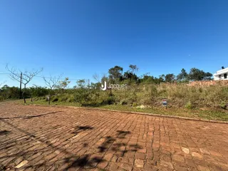A foto mostra uma área pavimentada com vegetação seca ao fundo.