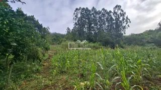 Área rural, foto 24
