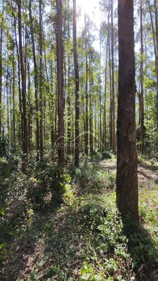 Área rural, foto 2