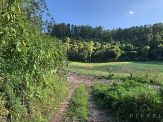 Terreno, foto 6