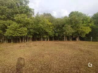Terreno, foto 5