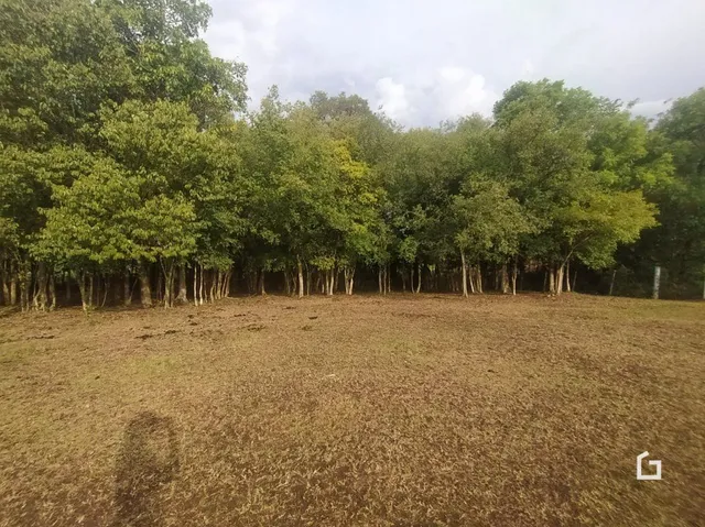 Terreno, foto 5