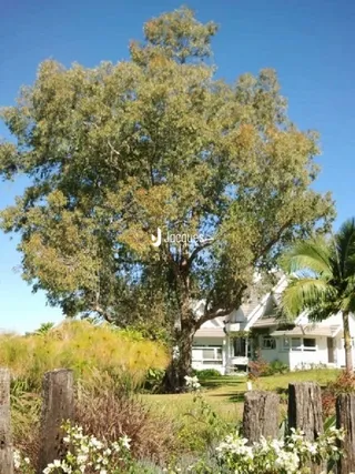 Casa com 4 dormitórios, foto 8