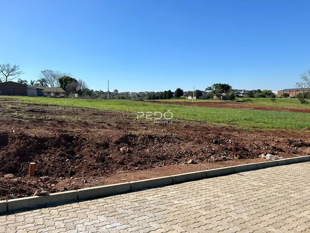 Vista da terra com solo revolvido e vegetação ao fundo.
