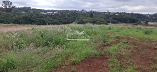 Terreno, foto 5
