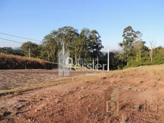 Terreno aberto com vegetação seca no campo.