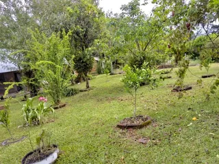 Área rural, foto 2