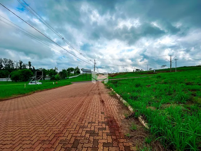 Vista da propriedade com estrada e vegetação ao redor.