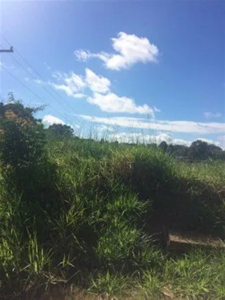 Terreno, foto 2